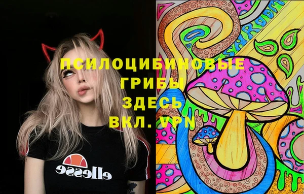 молекула духа Новокубанск