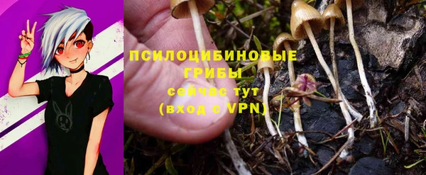 амф Новодвинск