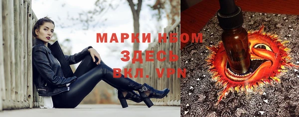 молекула духа Новокубанск