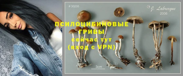амф Новодвинск