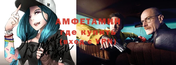 амф Новодвинск