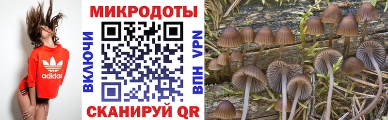 где купить наркотик  Сысерть  Псилоцибиновые грибы Cubensis 